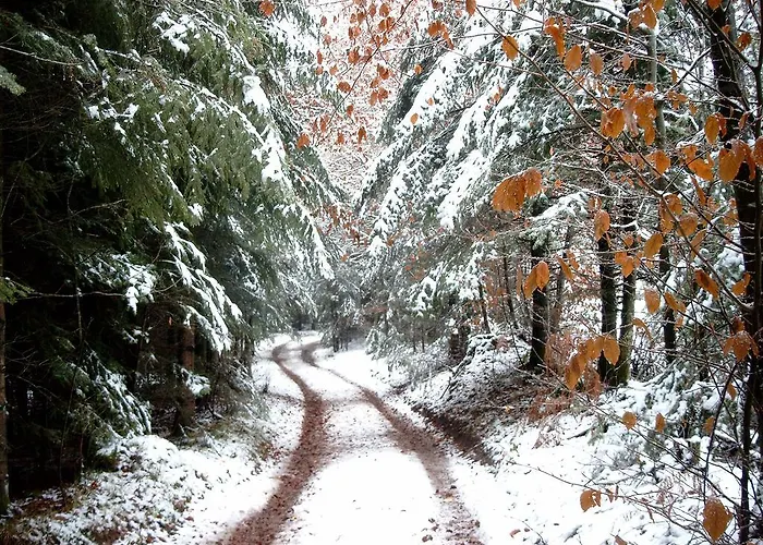 בית נופש De La Racine Girmont-Val-dʼAjol
